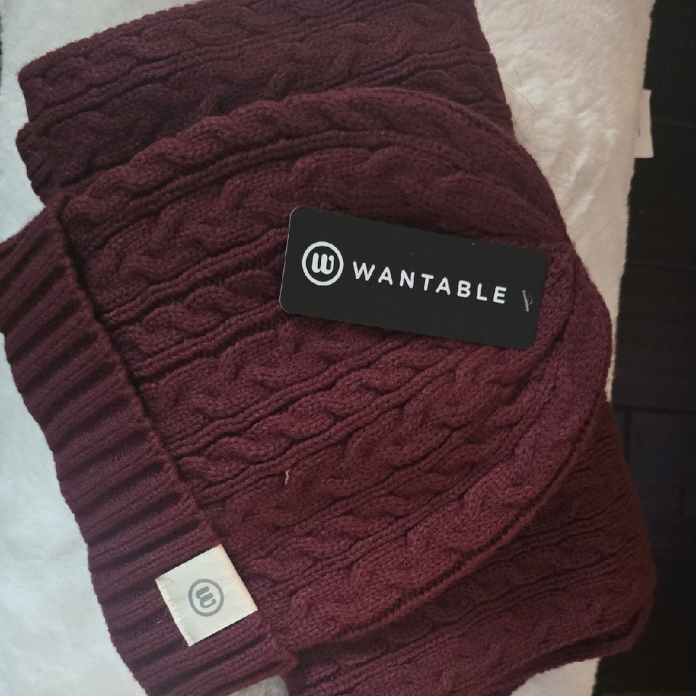 Wantable Burgundy Knit Scarf And Beanie Set